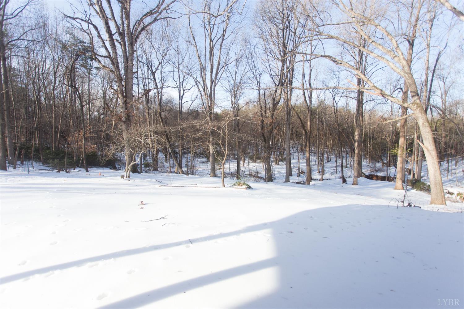 1314 Grove Road Lynchburg, VA 24502 - Photo 53 of 66 Gallery Image 53