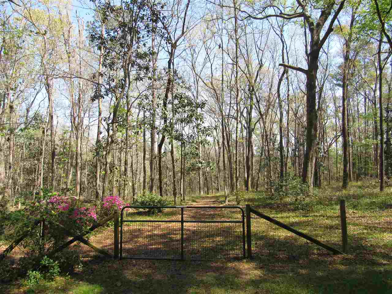 9901 Gamble Road Monticello, FL 32344 - Photo 29 of 31 Gallery Image 29
