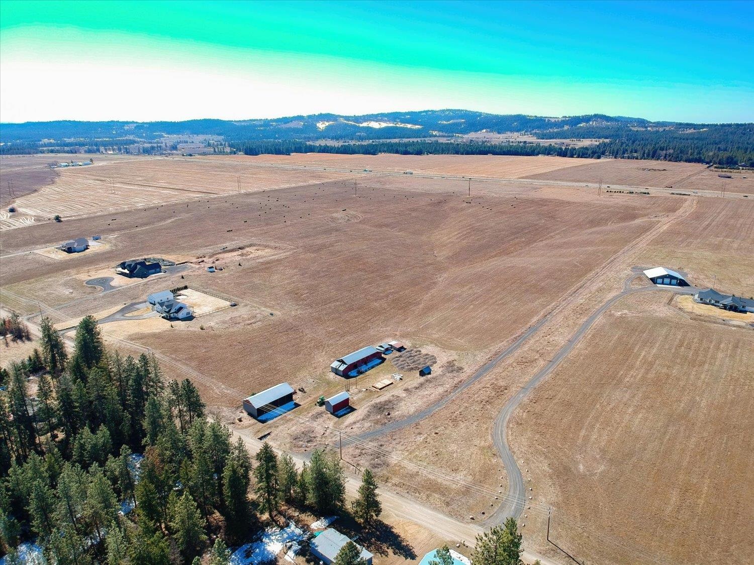 21200 North Division Road Colbert, WA 99005 - Photo 22 of 28