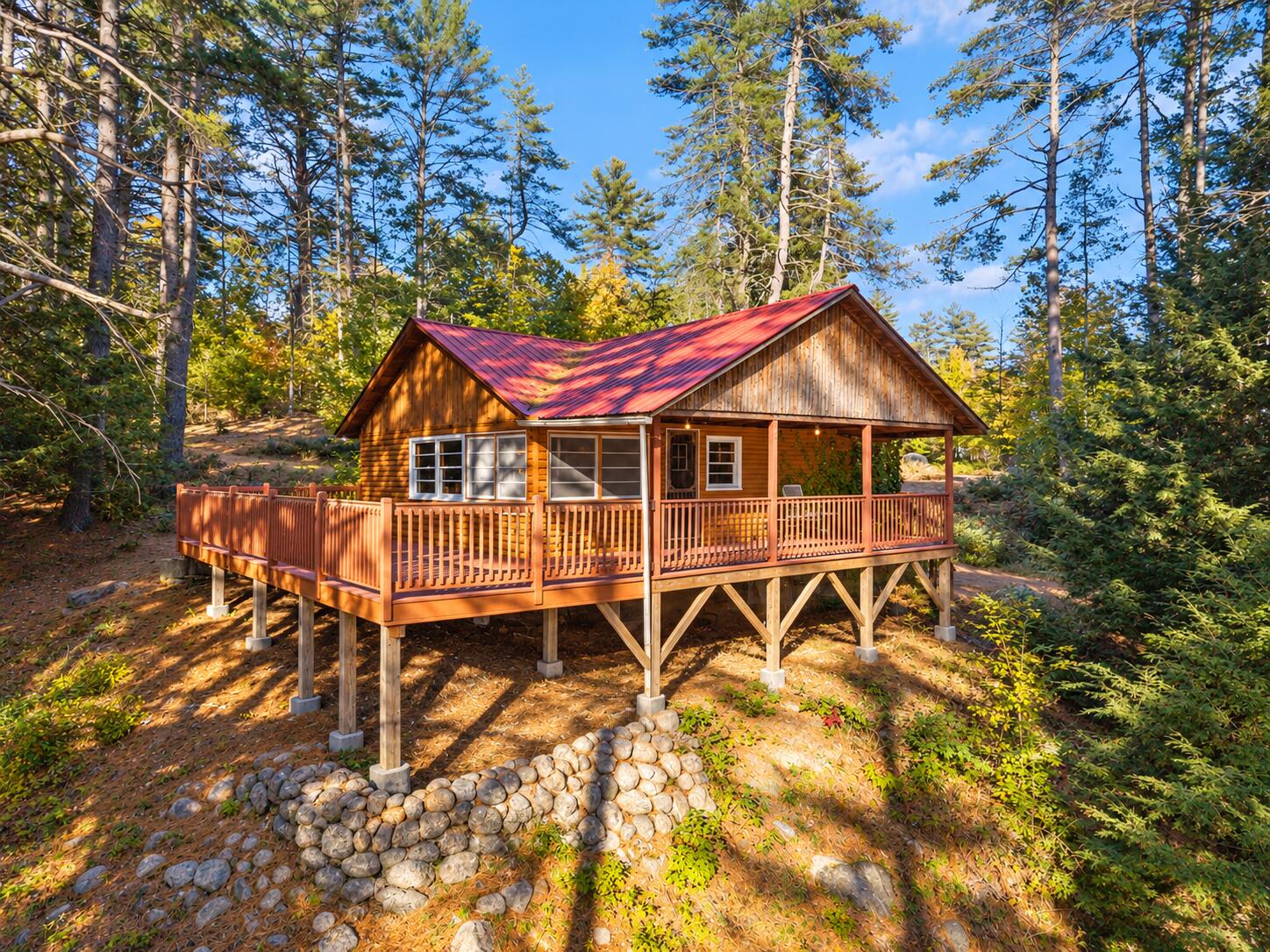 Sunlit Rustic Cabin in the Pines