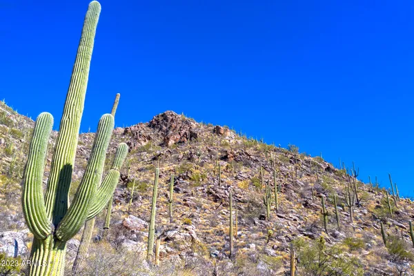 a view of a large building