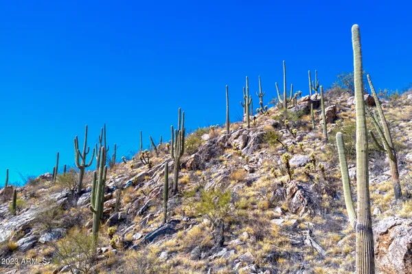 $355,000 | 4359 East Playa De Coronado, Unit 53, Tucson, AZ 85718