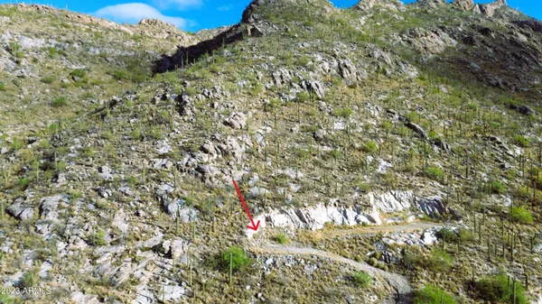 a backyard of a house with large trees
