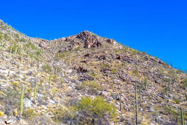 a view of a lake with houses