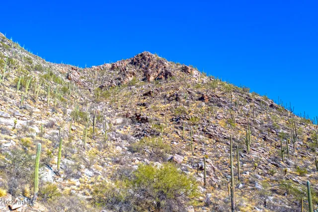 a view of a lake with houses