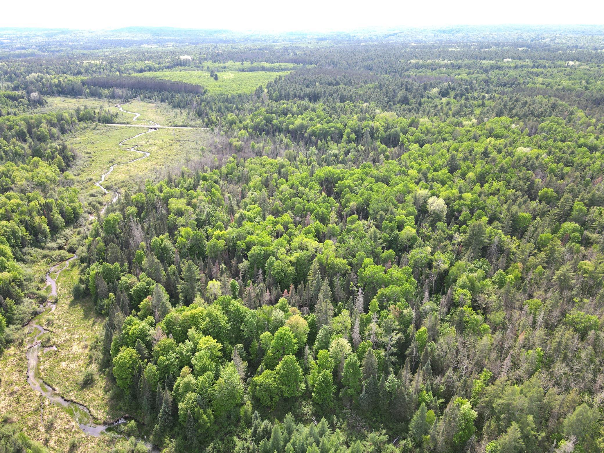 Lot 1 Smith Road North Couderay, WI 54828 - Photo 7 of 29