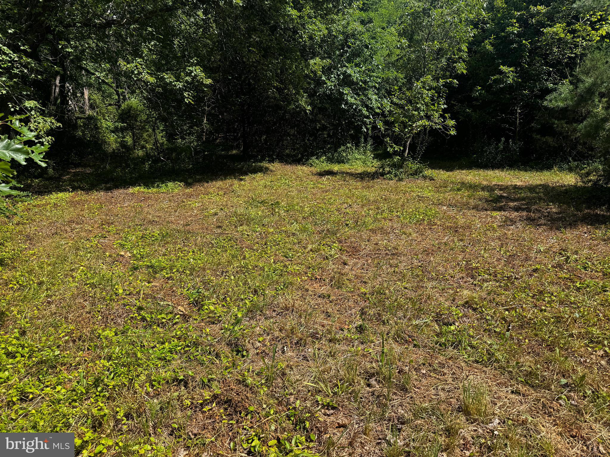 0 Perry Road Winchester, VA 22602 - Photo 12 of 12 Gallery Image 12