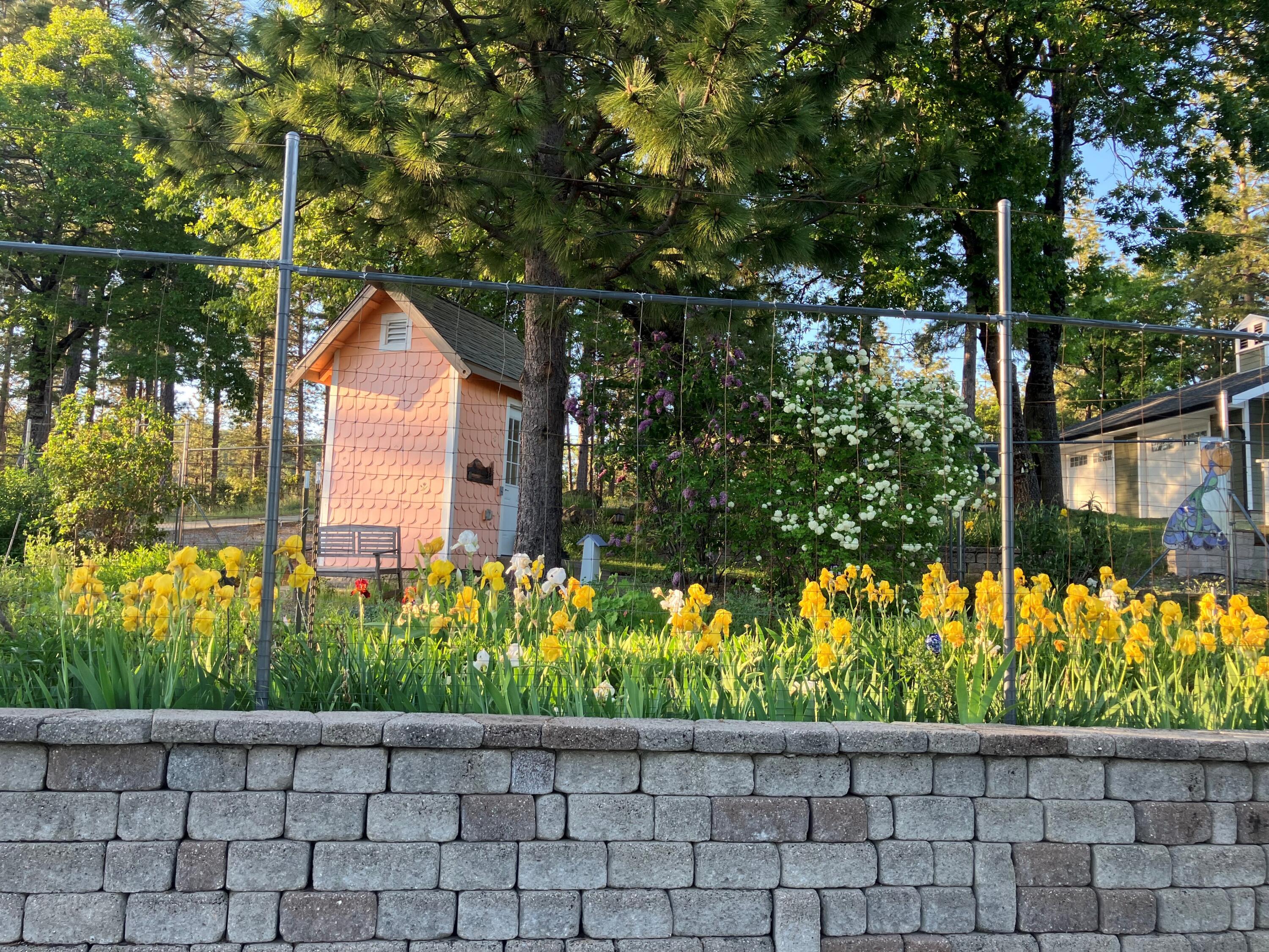 6360 Wilson Hill Road Shingletown, CA 96088 - Photo 54 of 79 a view of a street with a flower garden