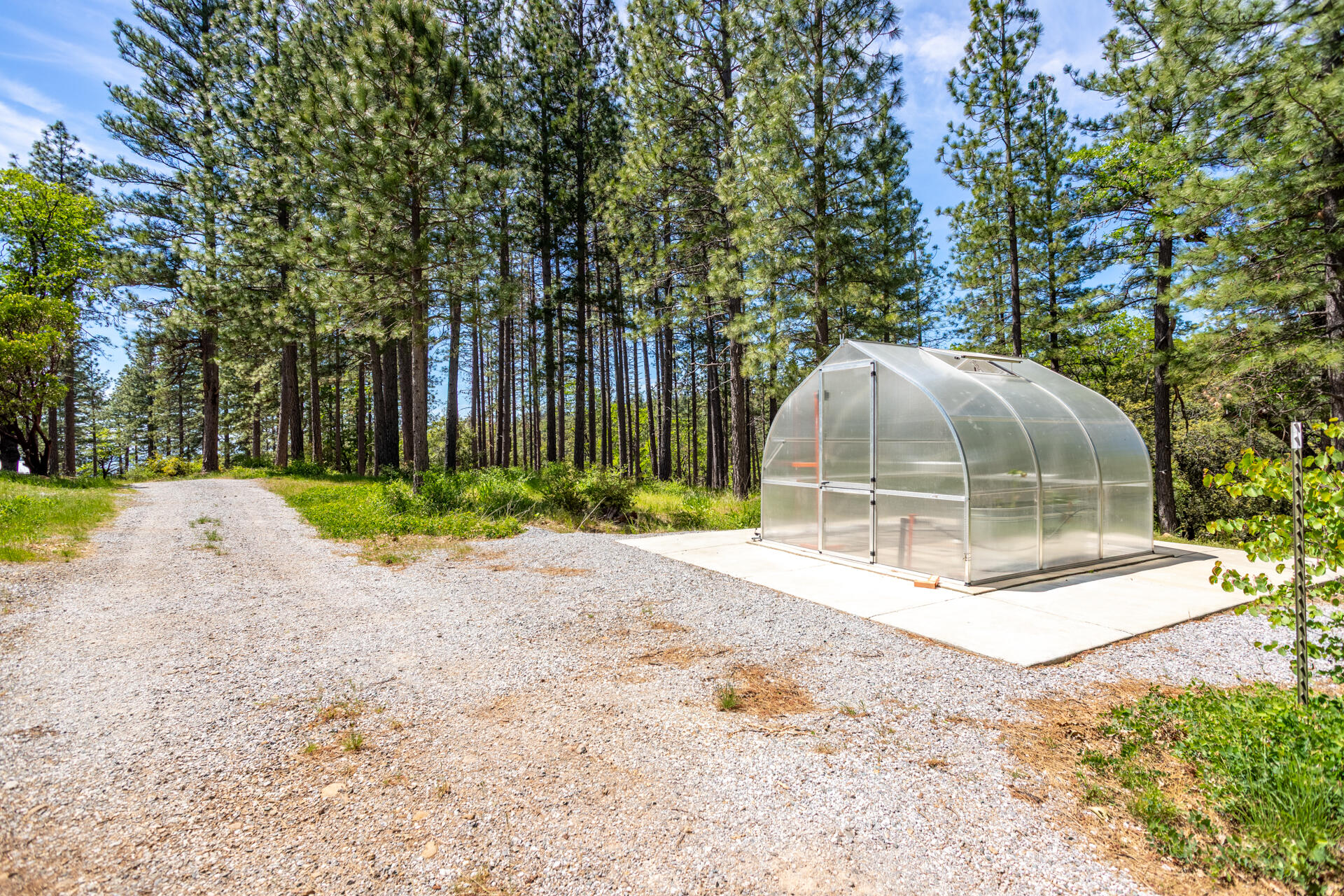 6360 Wilson Hill Road Shingletown, CA 96088 - Photo 56 of 79 Green House