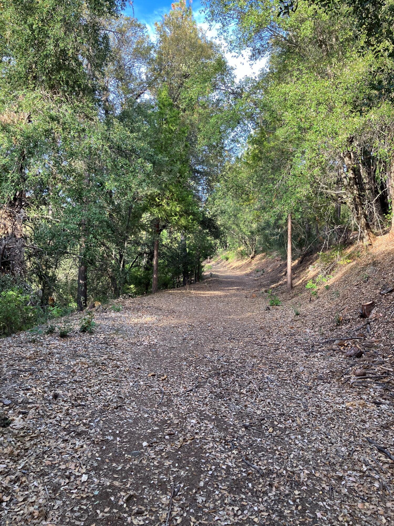 6360 Wilson Hill Road Shingletown, CA 96088 - Photo 72 of 79 North Side Trail