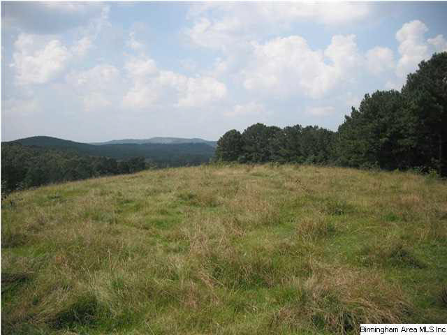 Pepper Road, Unit 61 Ashland, AL 36251 - Photo 6 of 10
