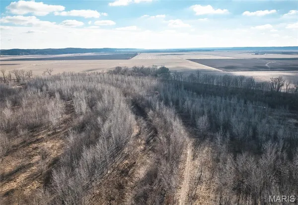 $1,190,000 | 0 Northwest 850 Avenue, Eldred, IL 62027