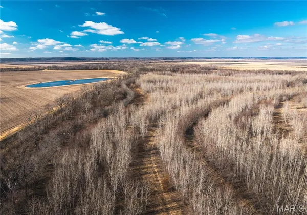 $1,190,000 | 0 Northwest 850 Avenue, Eldred, IL 62027