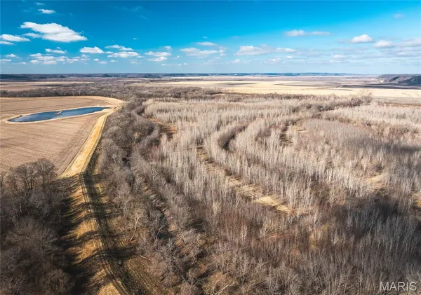 $1,190,000 | 0 Northwest 850 Avenue, Eldred, IL 62027