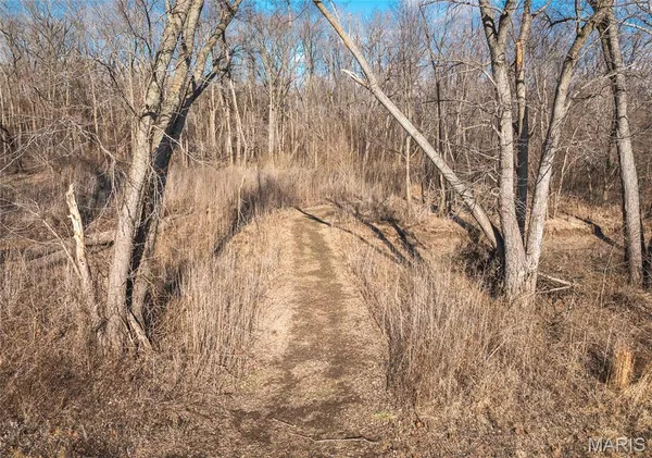 $1,190,000 | 0 Northwest 850 Avenue, Eldred, IL 62027