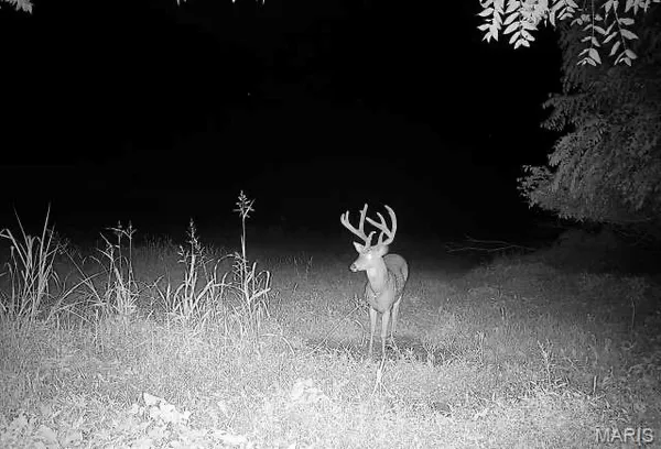 $1,190,000 | 0 Northwest 850 Avenue, Eldred, IL 62027