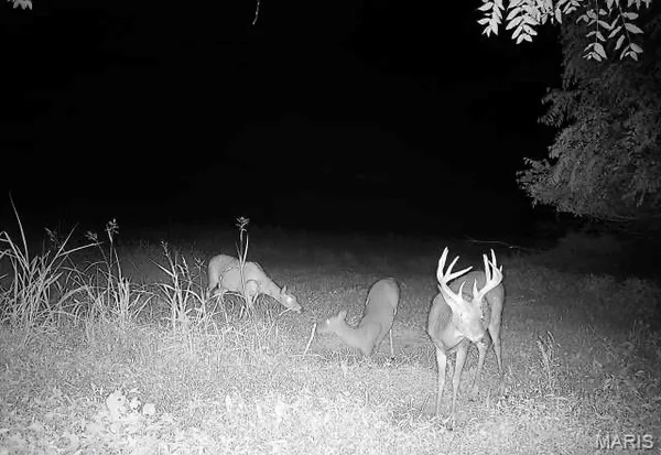 $1,190,000 | 0 Northwest 850 Avenue, Eldred, IL 62027