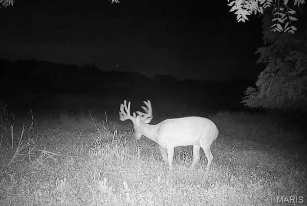 $1,190,000 | 0 Northwest 850 Avenue, Eldred, IL 62027