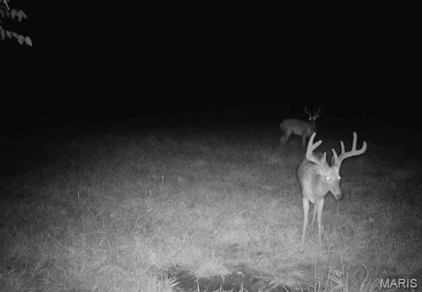 $1,190,000 | 0 Northwest 850 Avenue, Eldred, IL 62027