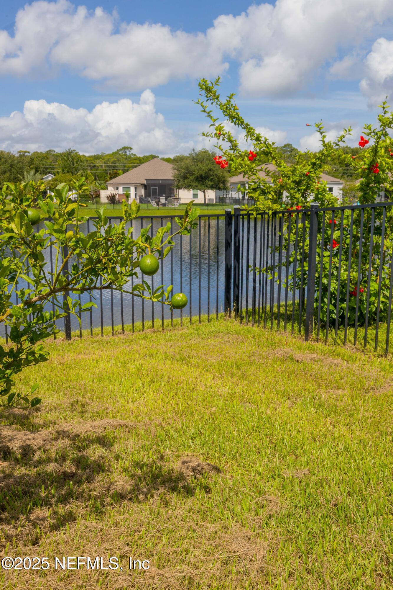 333 Old Hickory Forest Road St. Augustine, FL 32084 - Photo 41 of 62 29-IMG-9872