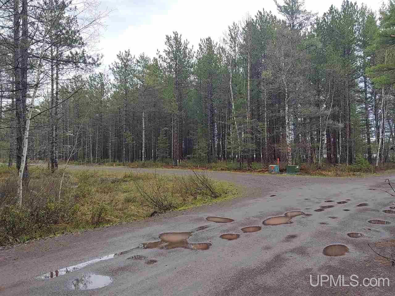 Lot 12 Rice Landing Rd Lake Lake Linden, MI 49945 - Photo 6 of 43