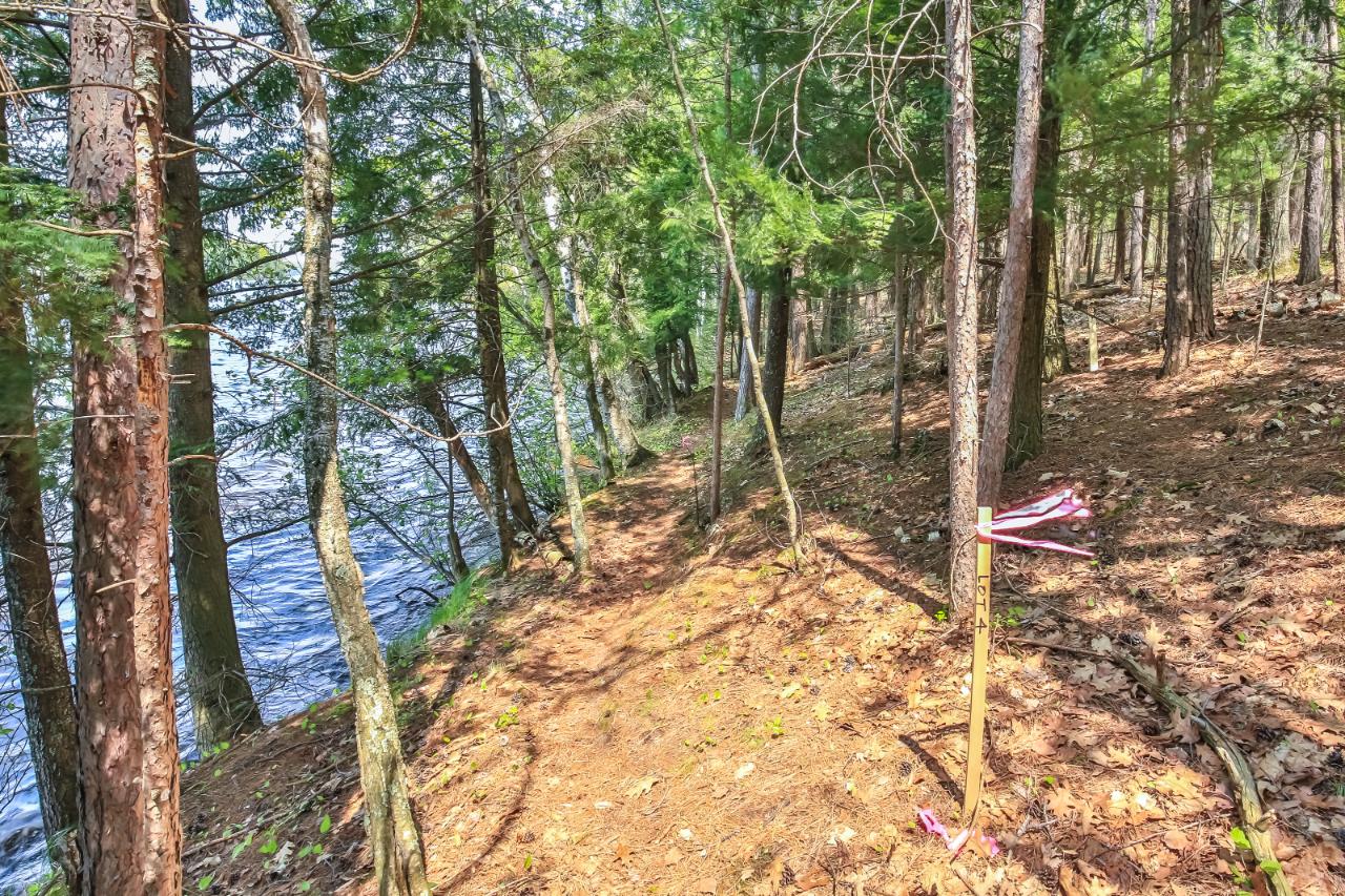 On Squirrel Lake Road, Unit LOT #3 Minocqua, WI 54548 - Photo 3 of 17 Gallery Image 3