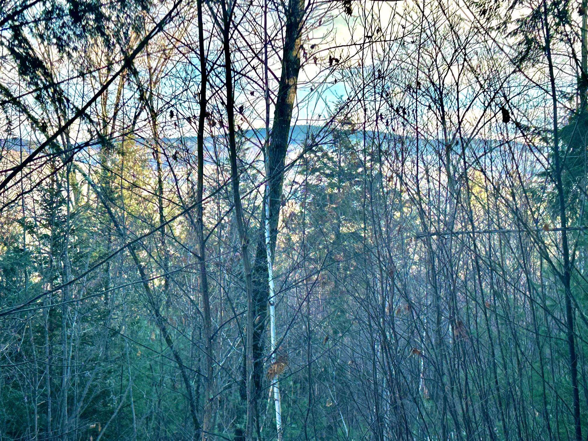 Longfellow Road, Unit 4 Woodsville, NH 03785 - Photo 2 of 5