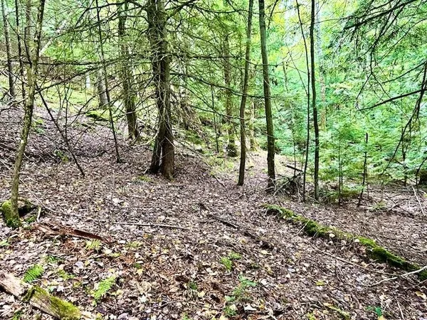 $99,000 | Longfellow Road, Unit 4, Woodsville, NH 03785