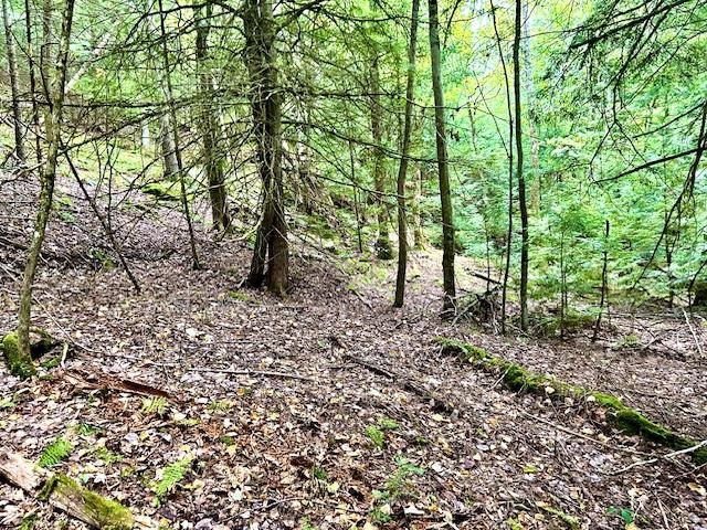 Longfellow Road, Unit 4 Woodsville, NH 03785 - Photo 3 of 5