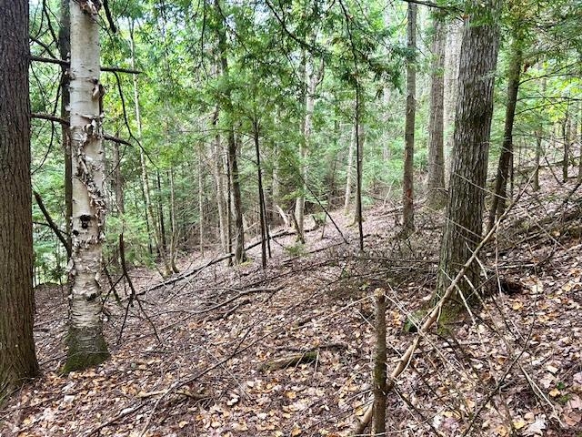 Longfellow Road, Unit 4 Woodsville, NH 03785 - Photo 4 of 5