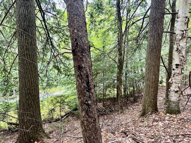 Longfellow Road, Unit 4 Woodsville, NH 03785 - Photo 5 of 5