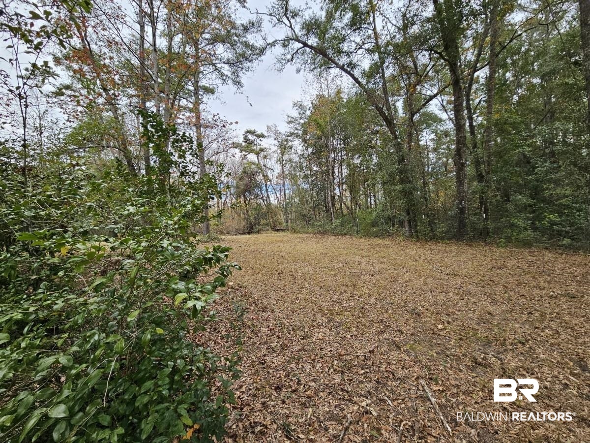 8515 Club House Road Bay Minette, AL 36507 - Photo 19 of 19