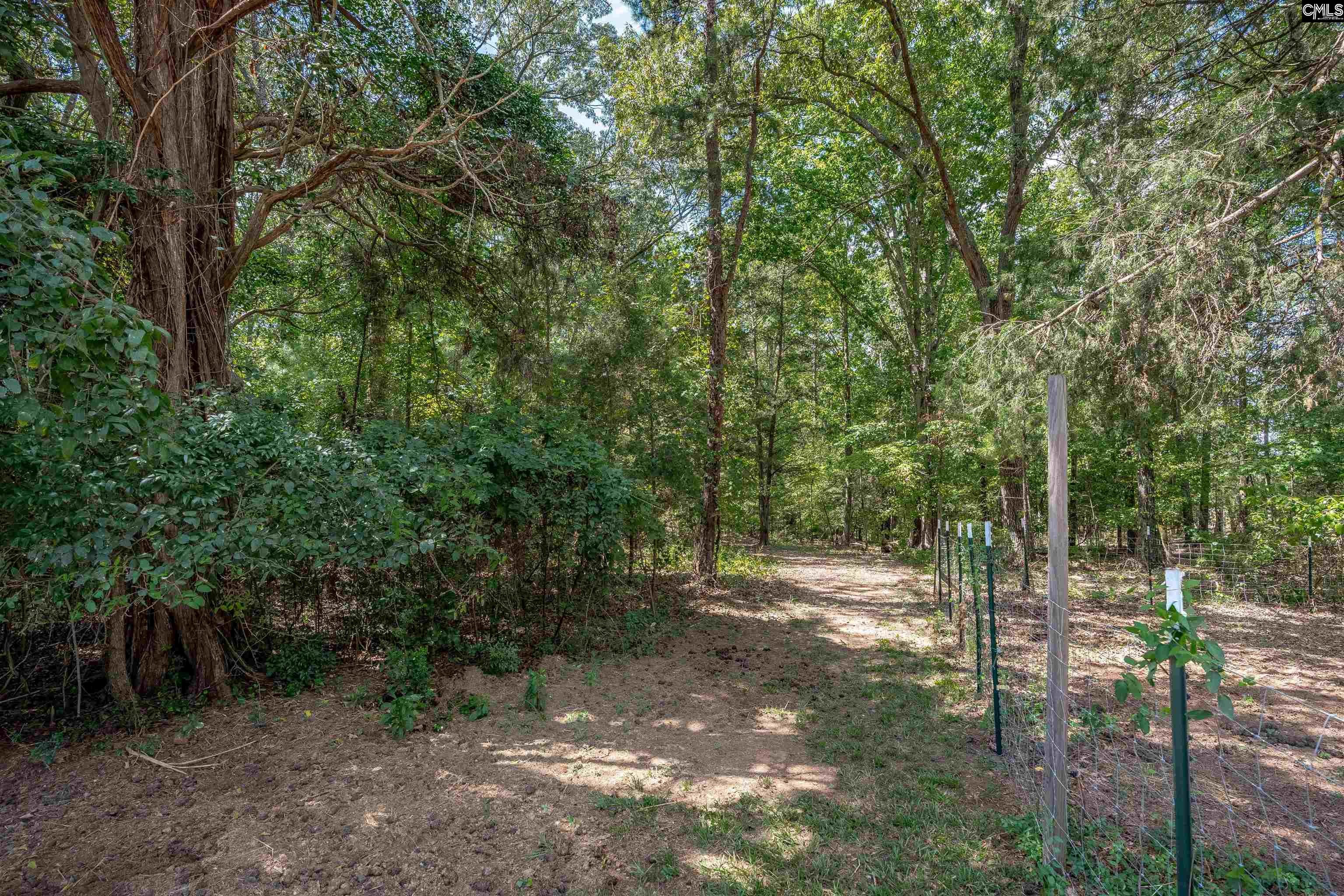 129 Jim Koon Road Irmo, SC 29063 - Photo 84 of 99 Gallery Image 84