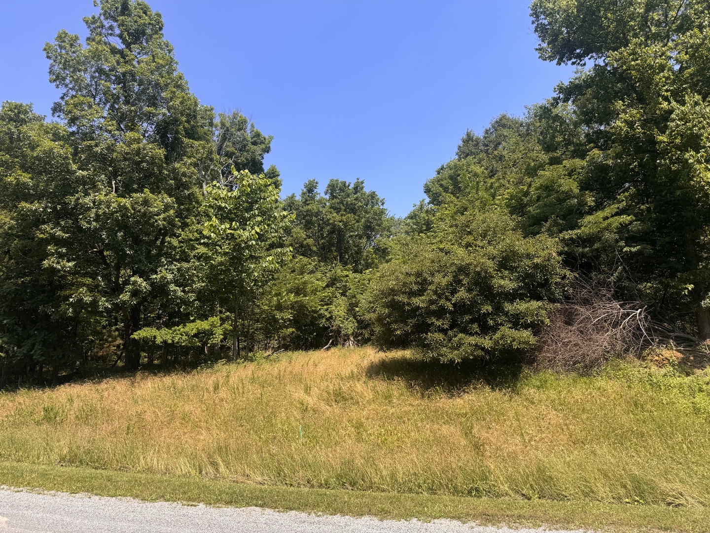 Lot 273-274 Rocky Point Road Goreville, IL 62939 - Photo 2 of 11