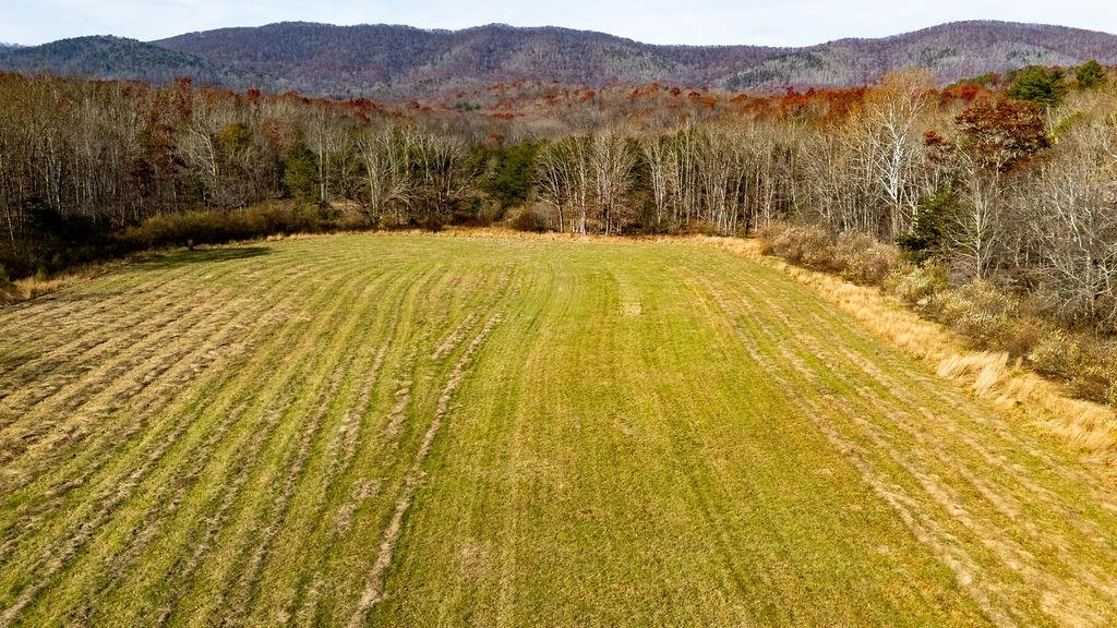 Tbd Jackson River Road Monterey, VA 24465 - Photo 10 of 22