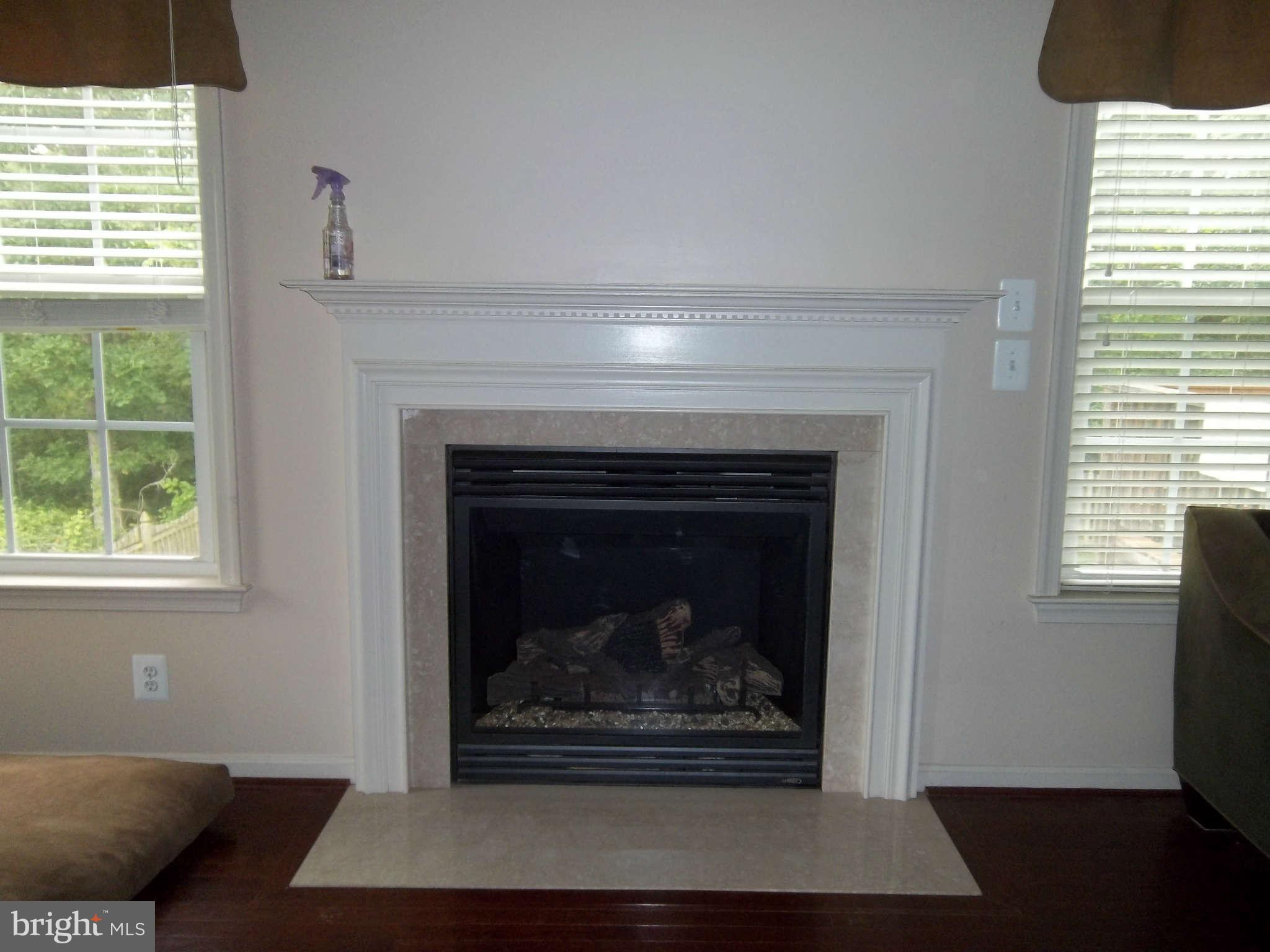 35366 Pheasant Ridge Road Locust Grove, VA 22508 - Photo 9 of 19 Living Room Fireplace