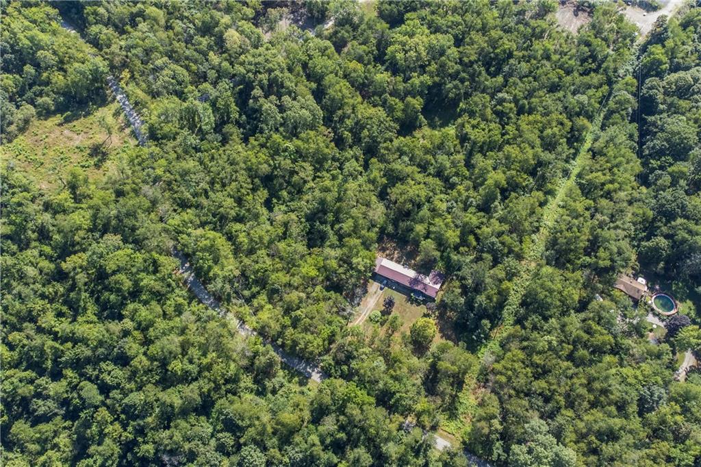 842 King Road Bulger, PA 15019 - Photo 5 of 12 a view of a forest with a bench and trees