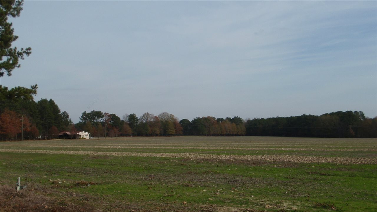 917 D Bates Road Morton, MS 39117 - Photo 3 of 48 Photo 3