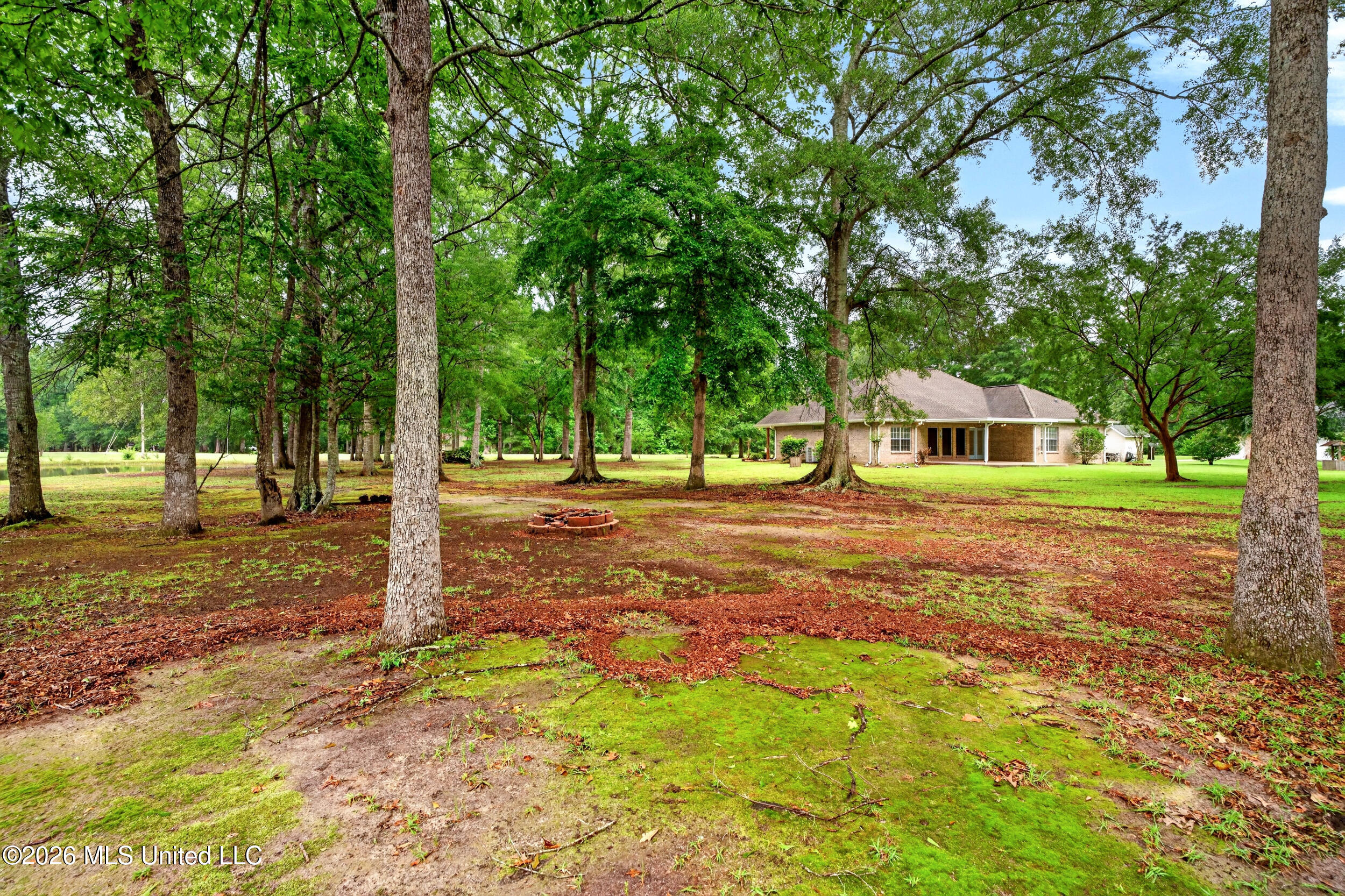 17 JM Carnell Road Poplarville, MS 39470 - Photo 51 of 65 51_51_sideyard