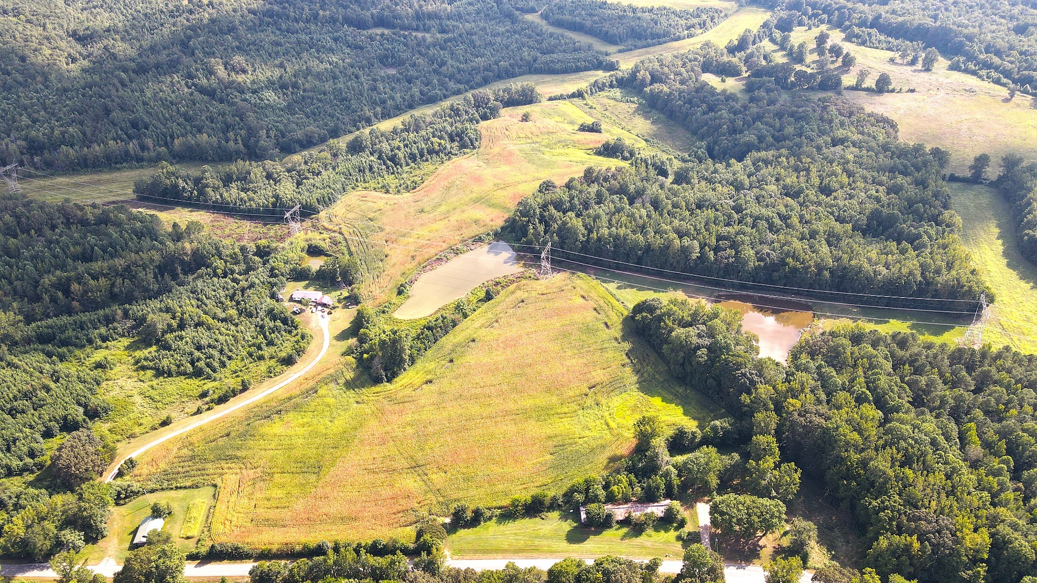 0 Sawyers Mill Road Camden, TN 38320 - Photo 8 of 9 Gallery Image 8