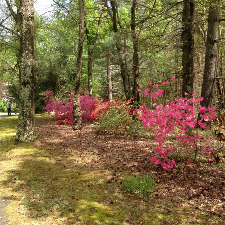 3174 Leonard Road Lexington, NC 27295 - Photo 21 of 30 Gallery Image 21