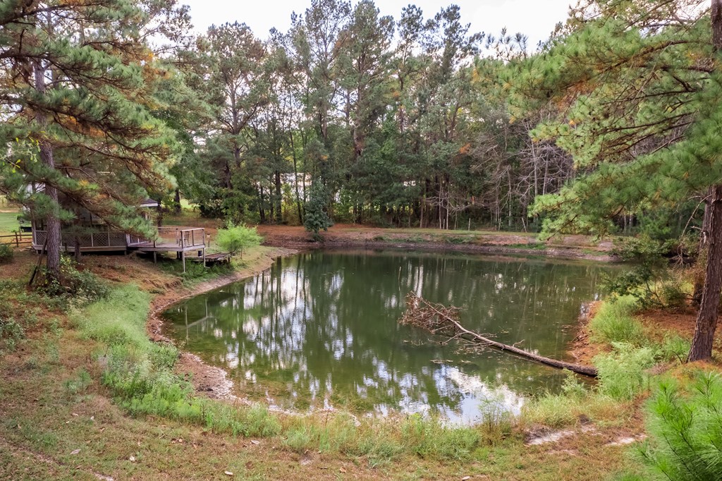 242 Providence Road Slocomb, AL 36375 - Photo 44 of 55 Perfect Place for an Afternoon of Fishing!