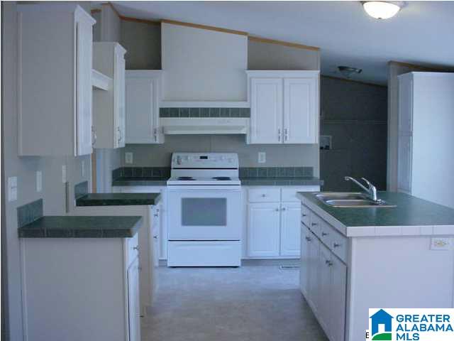 345 Wet Cat Road Hayden, AL 35079 - Photo 4 of 30