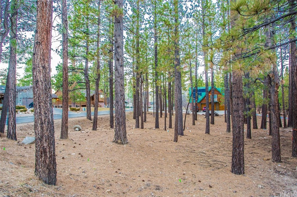 42340 Juniper Drive Big Bear Lake, CA 92315 - Photo 53 of 53