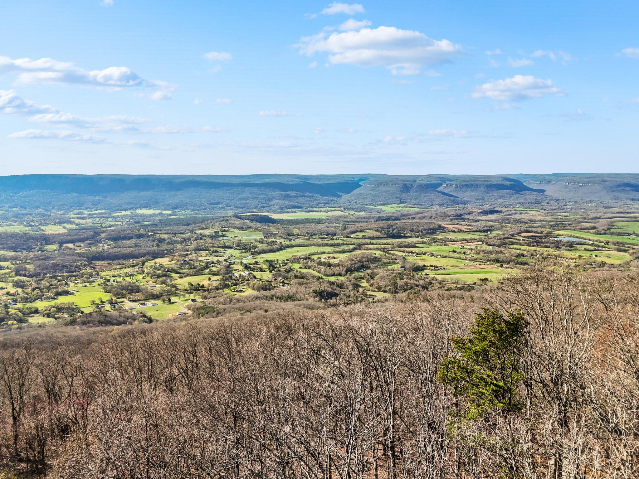 20851935 Big Fork Road Chattanooga, TN 37405 - Photo 12 of 22