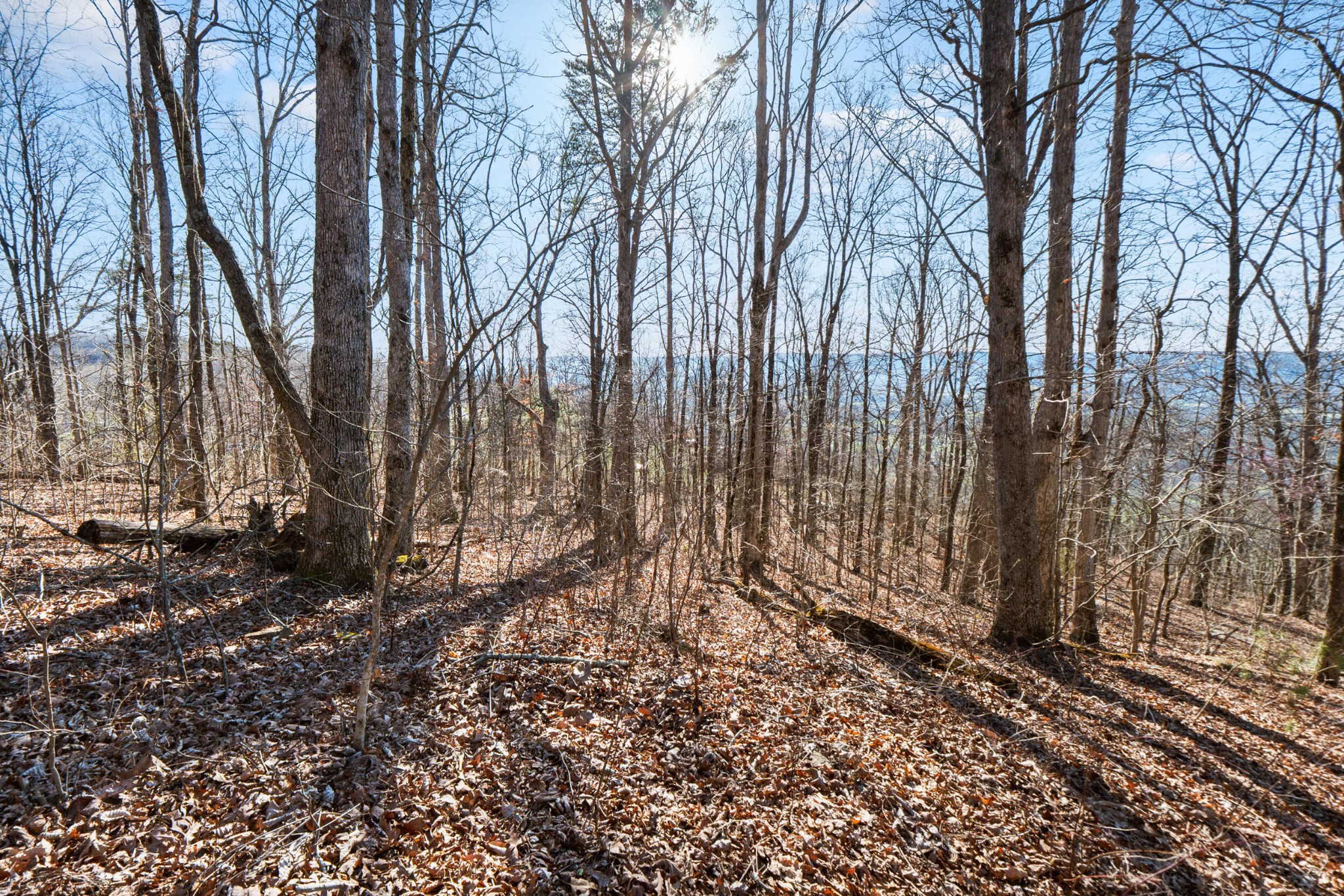 20851935 Big Fork Road Chattanooga, TN 37405 - Photo 15 of 22
