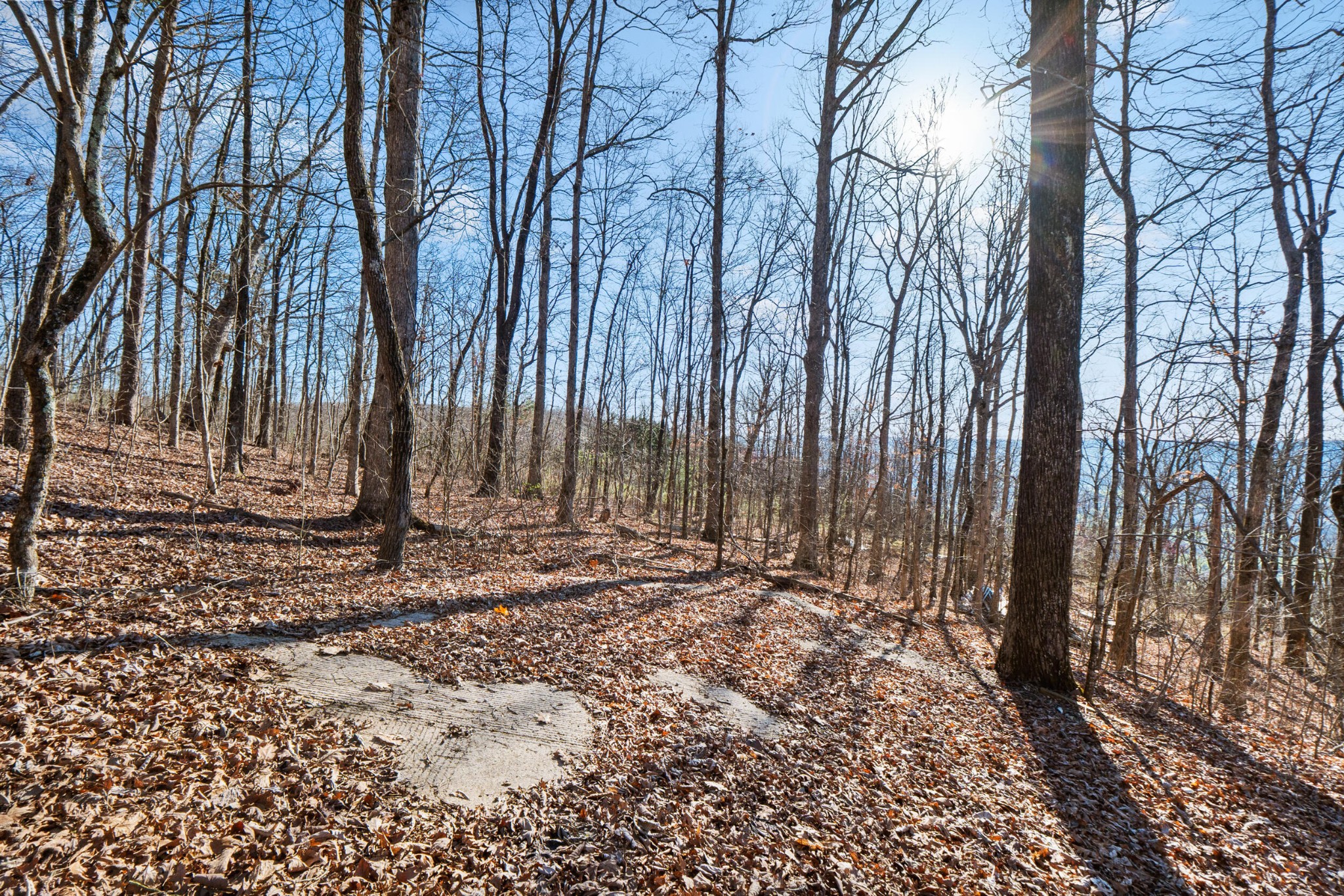 20851935 Big Fork Road Chattanooga, TN 37405 - Photo 16 of 22