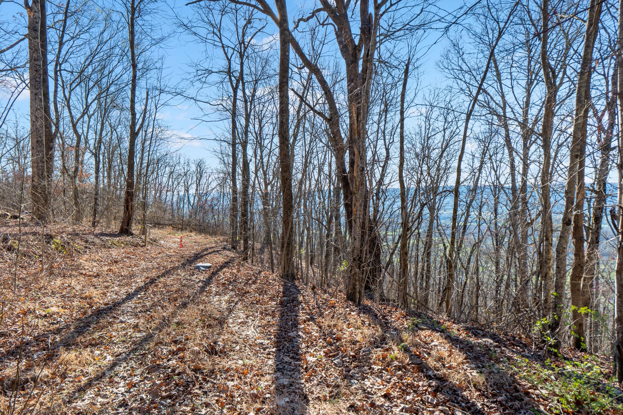 20851935 Big Fork Road Chattanooga, TN 37405 - Photo 17 of 22