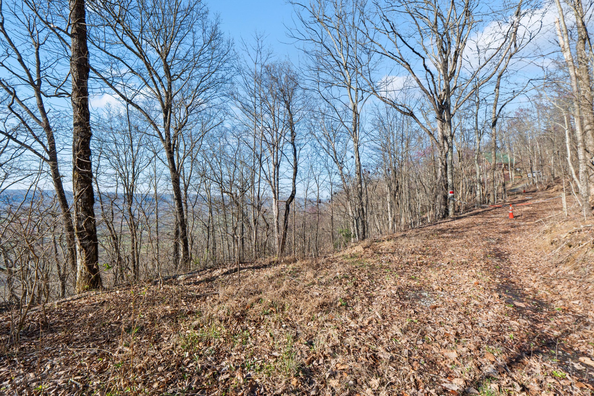 20851935 Big Fork Road Chattanooga, TN 37405 - Photo 2 of 22