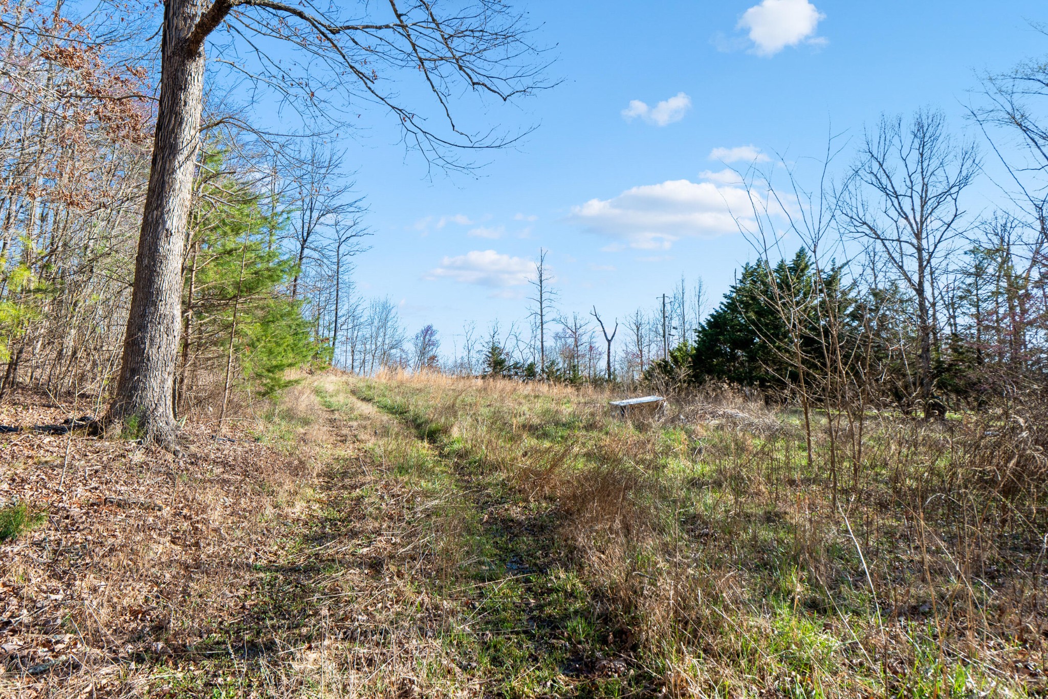 20851935 Big Fork Road Chattanooga, TN 37405 - Photo 3 of 22